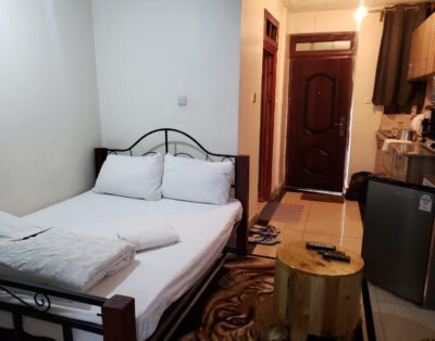 1 Bed Studio Apartment bnb for rent in Polyview Kisumu